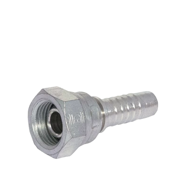 BSP Fitting 4 Lagiger - Weiblich